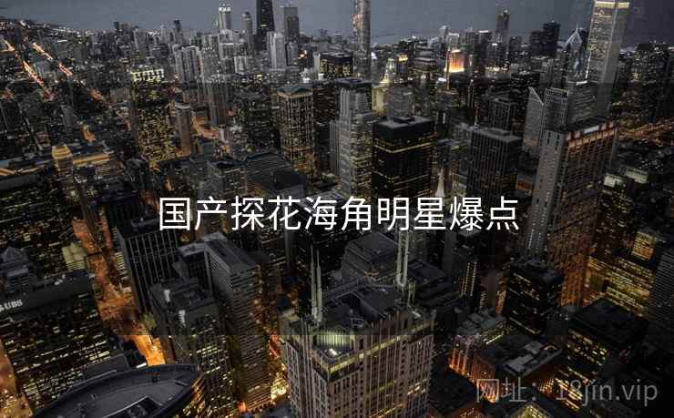 国产探花海角明星爆点