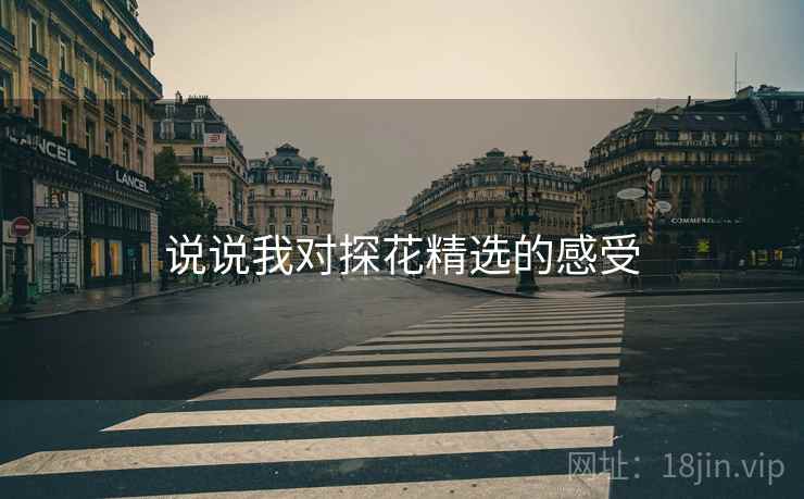 说说我对探花精选的感受 说说我对探花精选的感受