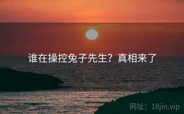 谁在操控兔子先生？真相来了